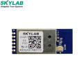 SKYLAB  Dual Band 2.4/5GHz IEEE 802.11ac 1x1WLANs USB Network Relay ac WIFI Camera Module